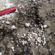 Opaline silica deposits at El Tatio, Chile. Image: Steve Ruff